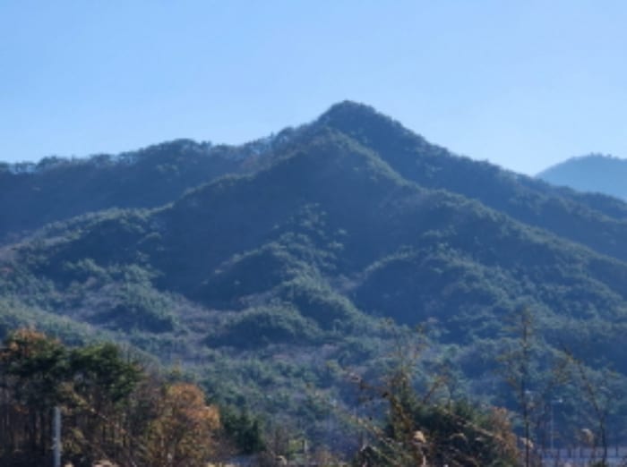 현장 사진 1