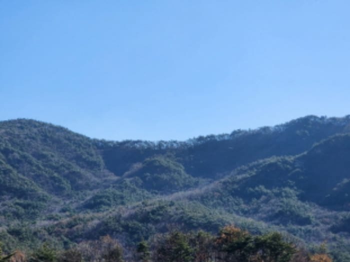 현장 사진 2