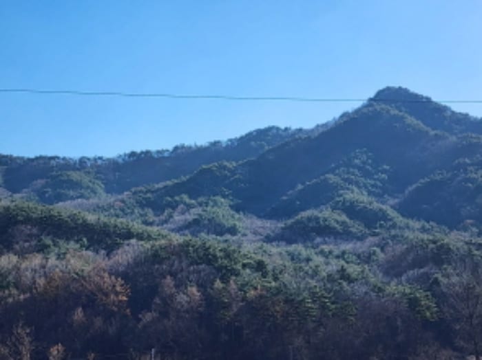 현장 사진 3