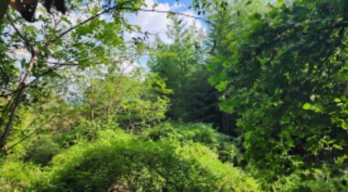 현장 사진 2