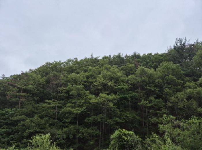 현장 사진 3