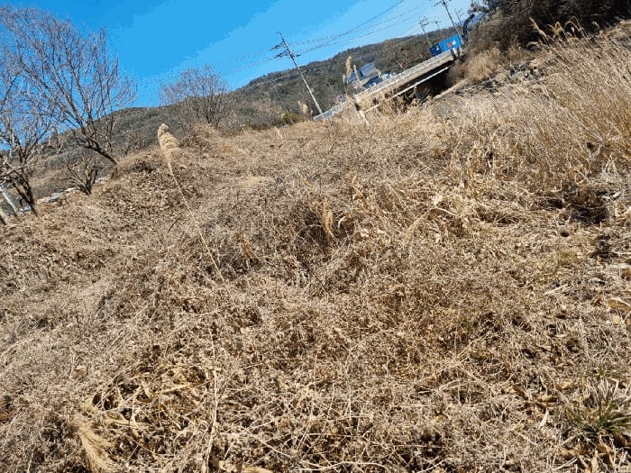 현장 사진 6