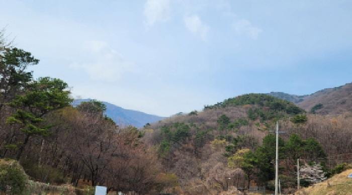 현장 사진 2