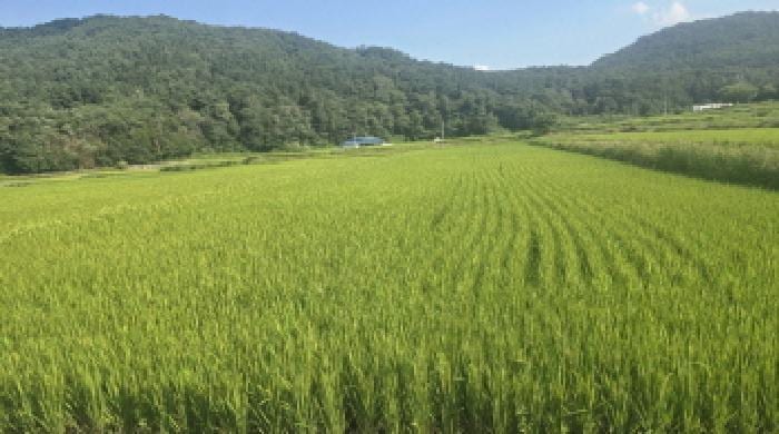 현장 사진 1