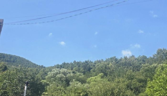 현장 사진 4