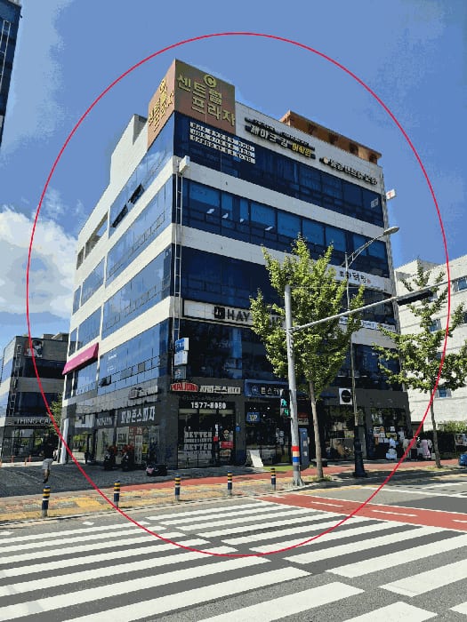 현장 사진 5