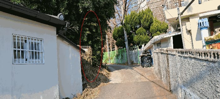 현장 사진 5