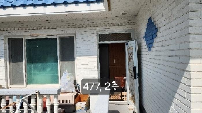 현장 사진 6