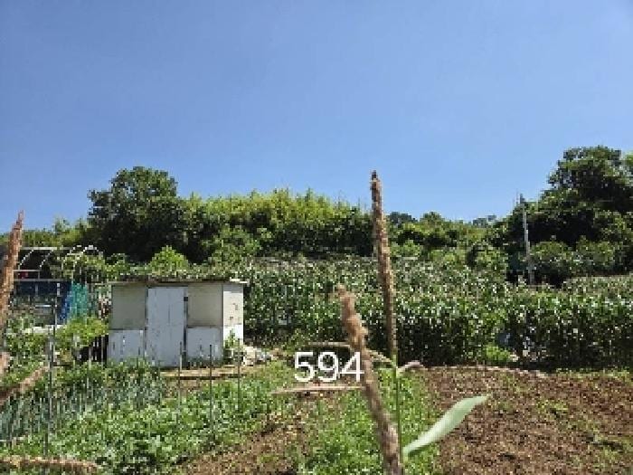 현장 사진 5