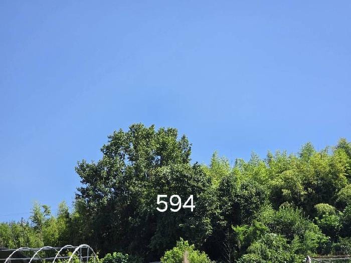 현장 사진 6