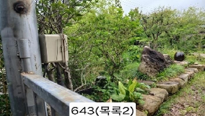 현장 사진 2