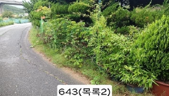 현장 사진 3
