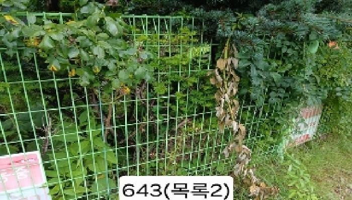 현장 사진 4