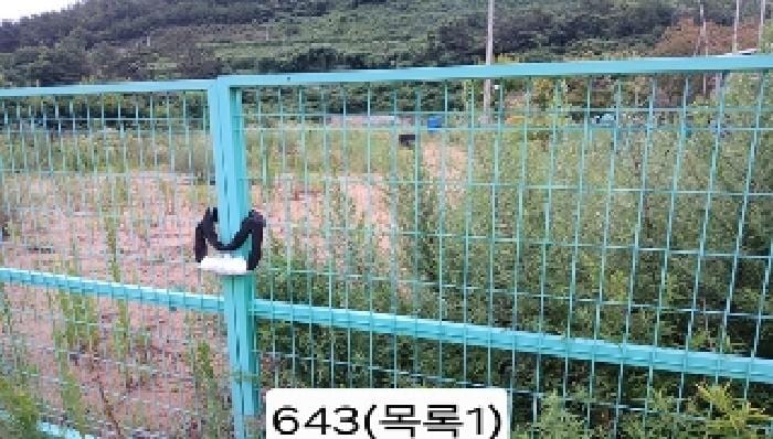 현장 사진 5