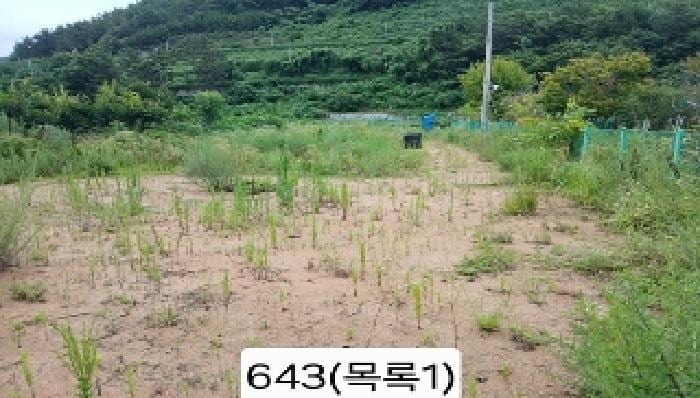 현장 사진 6