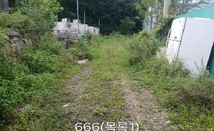 현장 사진 2