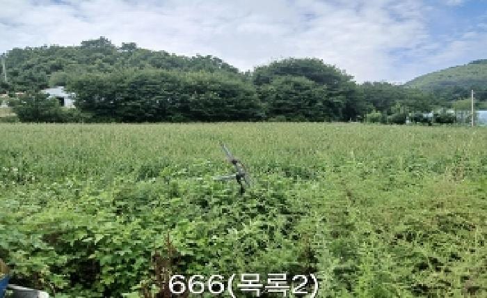현장 사진 3