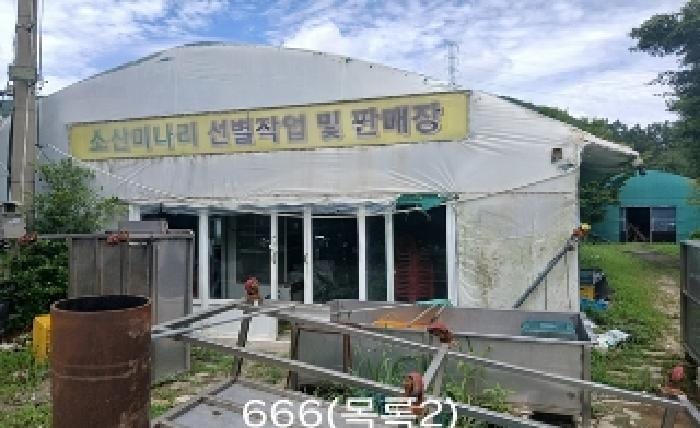 현장 사진 5