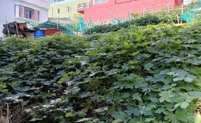 현장 사진 3