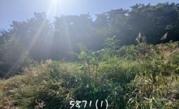 현장 사진 2