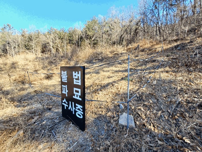 현장 사진 6