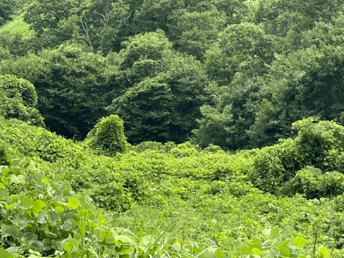 현장 사진 4