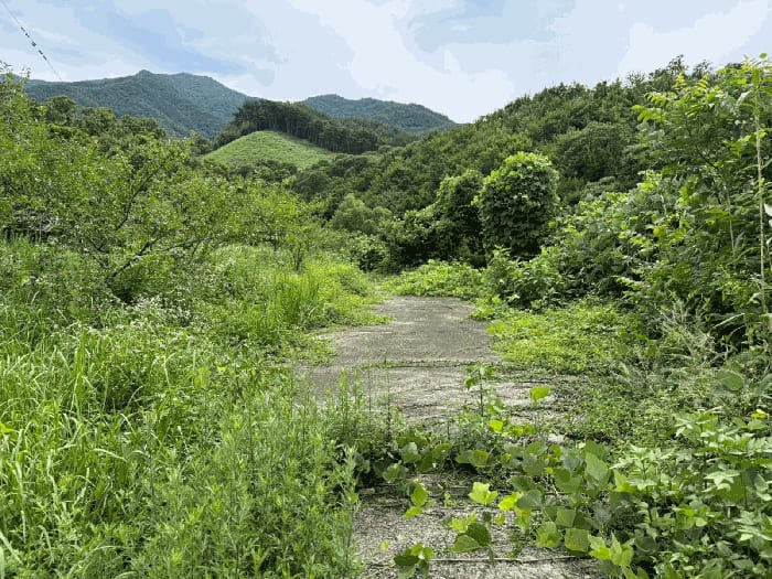 현장 사진 5