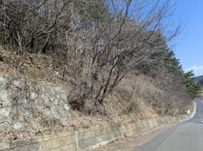 현장 사진 5