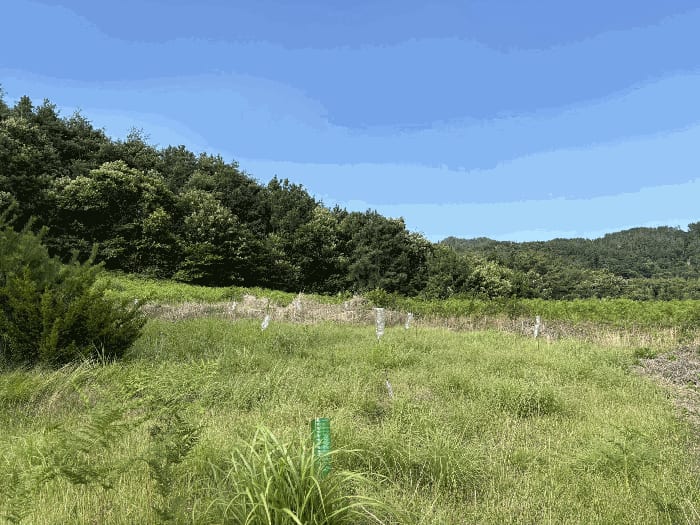 현장 사진 5