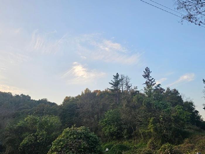 현장 사진 1