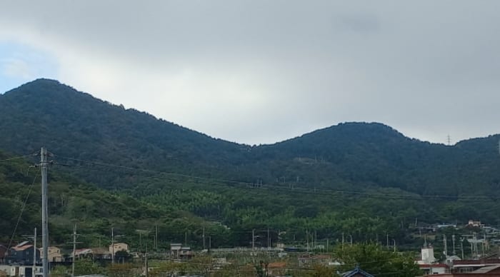 현장 사진 1