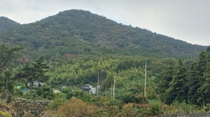 현장 사진 2