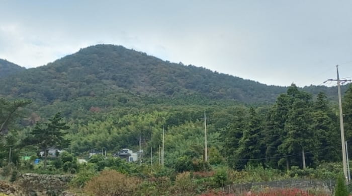 현장 사진 3