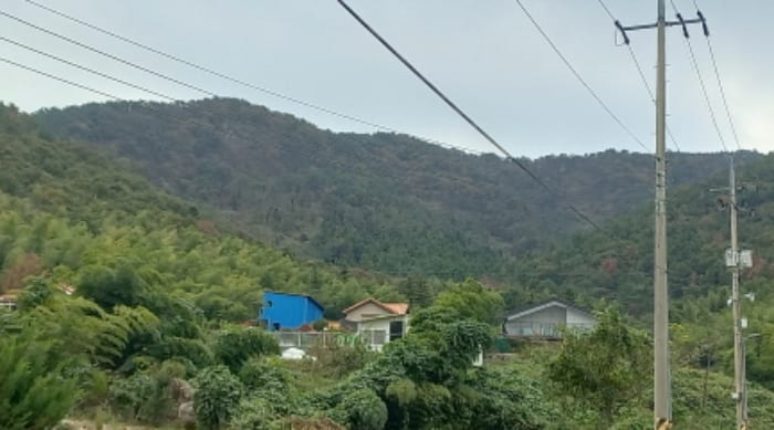 현장 사진 4