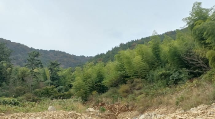현장 사진 5