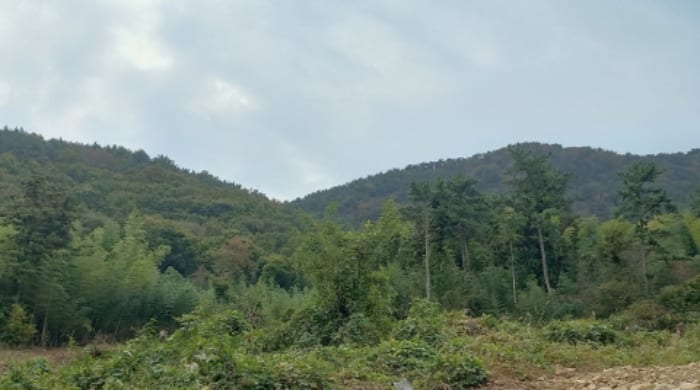 현장 사진 6