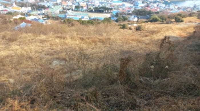 현장 사진 3