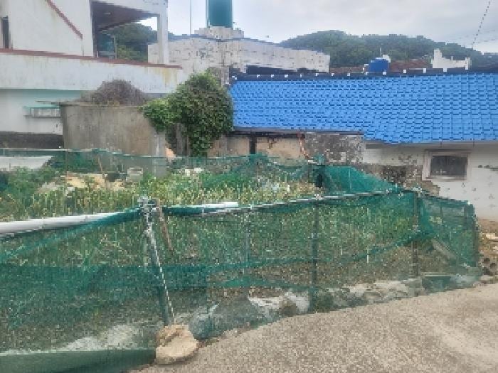 현장 사진 1