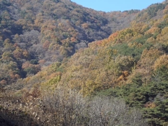 현장 사진 5