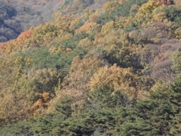 현장 사진 6