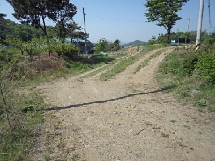 현장 사진 1