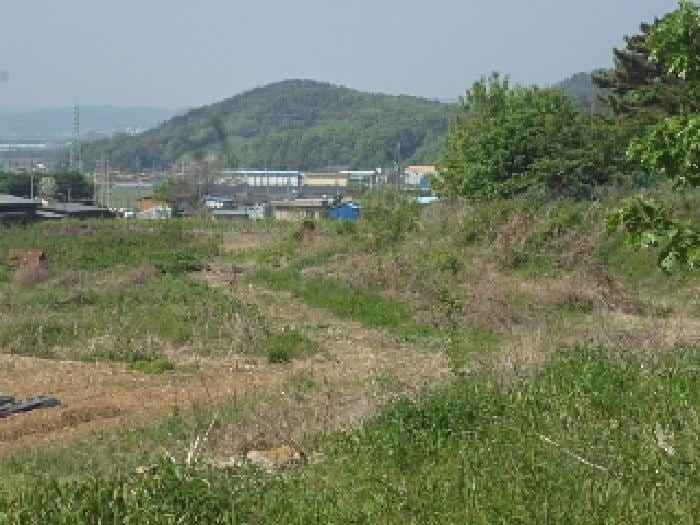 현장 사진 6