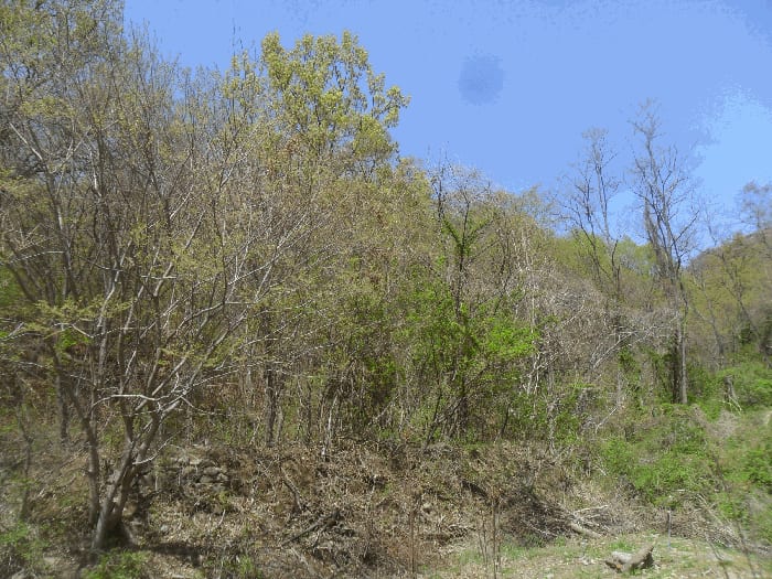 현장 사진 6