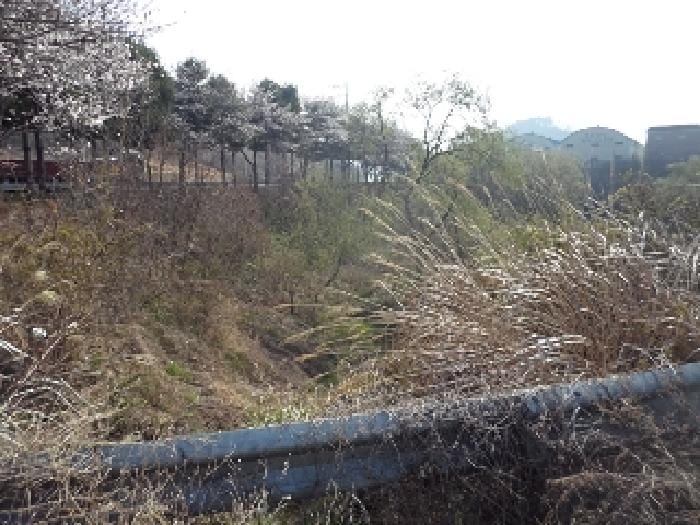 현장 사진 2
