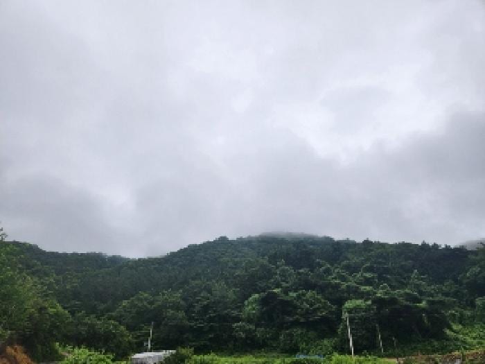 현장 사진 1