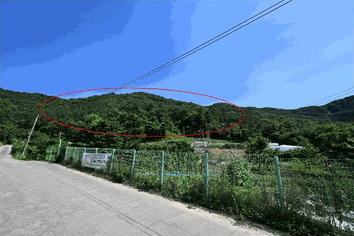 현장 사진 5