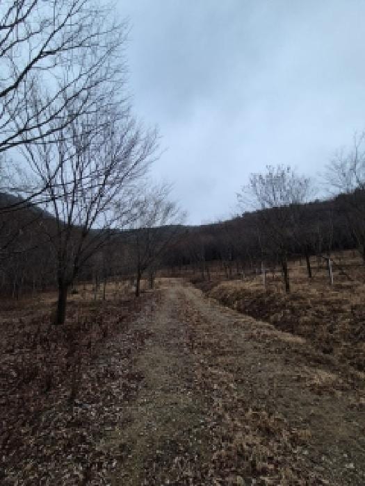 현장 사진 1