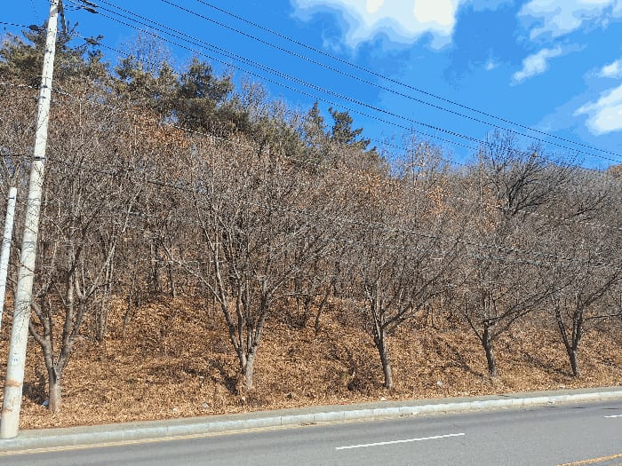 현장 사진 6