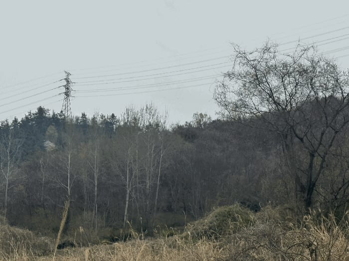 현장 사진 6