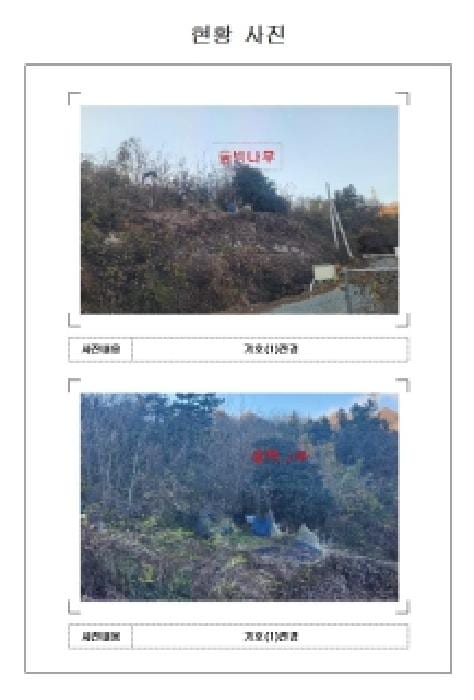현장 사진 1